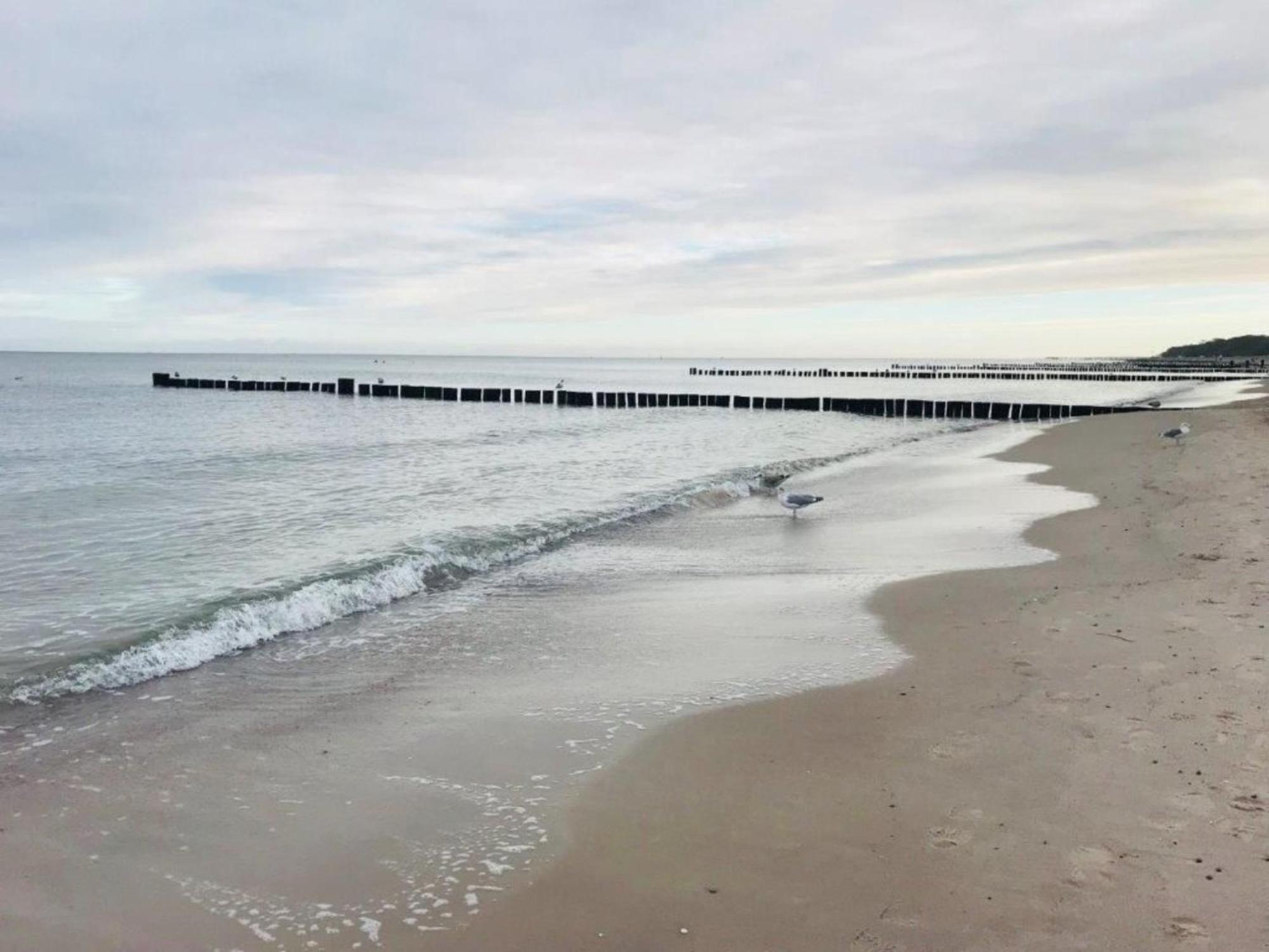 Meeresrauschen Ostseebad Kühlungsborn Exterior foto